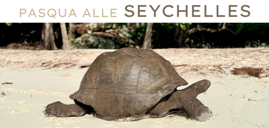 Ultimi posti per Pasqua 2026 alle Seychelles!
