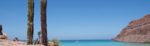 Crociera Baja California – Mexico