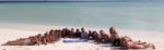 Maldive a Pasqua • Novità • In Crociera su M/Y “Conte Max”